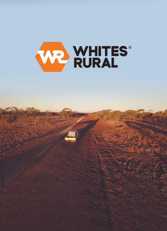 WR banner 2 mobile (580 × 800 px) (1)