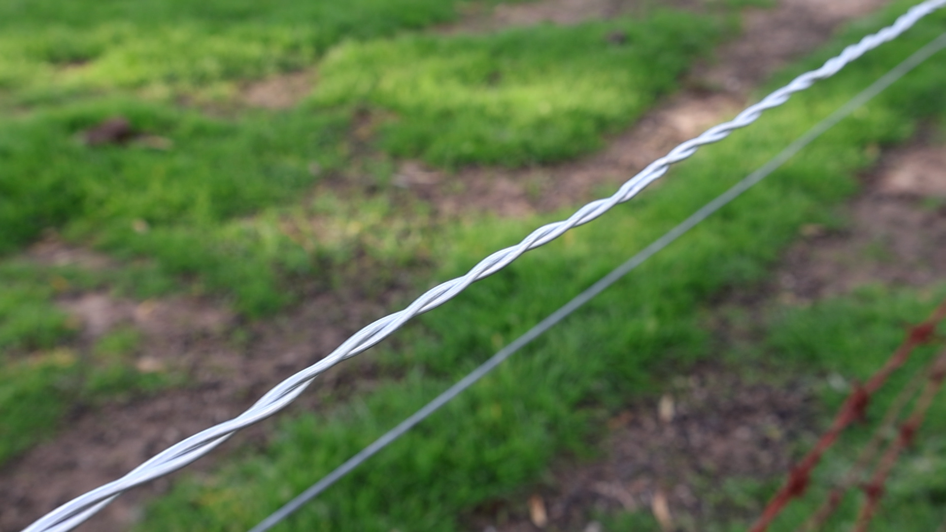 Protect wildlife with Safe Twist Barbless Wire