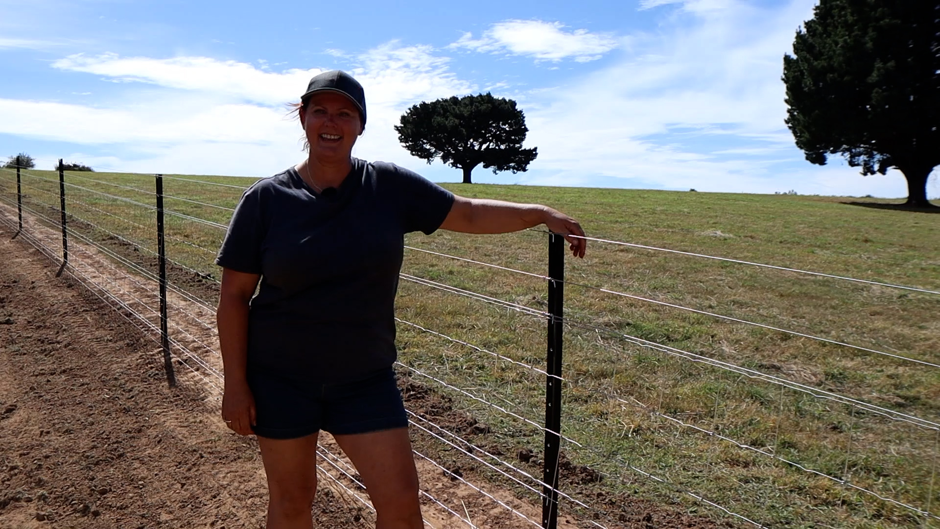 Build a fence with Helen