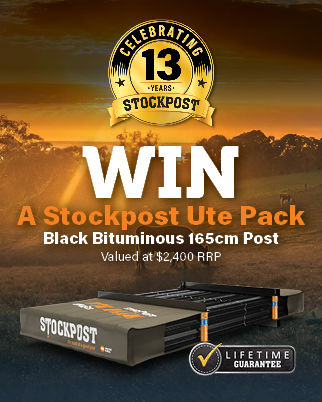 WIN_Stockpost 13th Anniversary A4 mobile banner